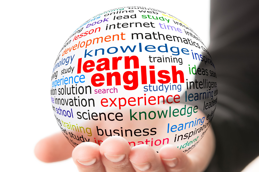 confident students career speak fluent English